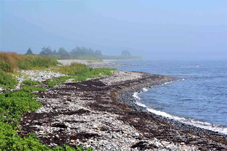 shoreline